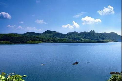 雪野 资料,探寻冬日里的诗意与宁静