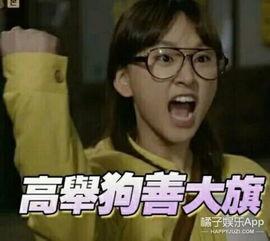 狗善 橘子娱乐,揭秘娱乐圈的温暖力量