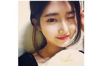 金珠炫资料,璀璨星河中的璀璨明珠